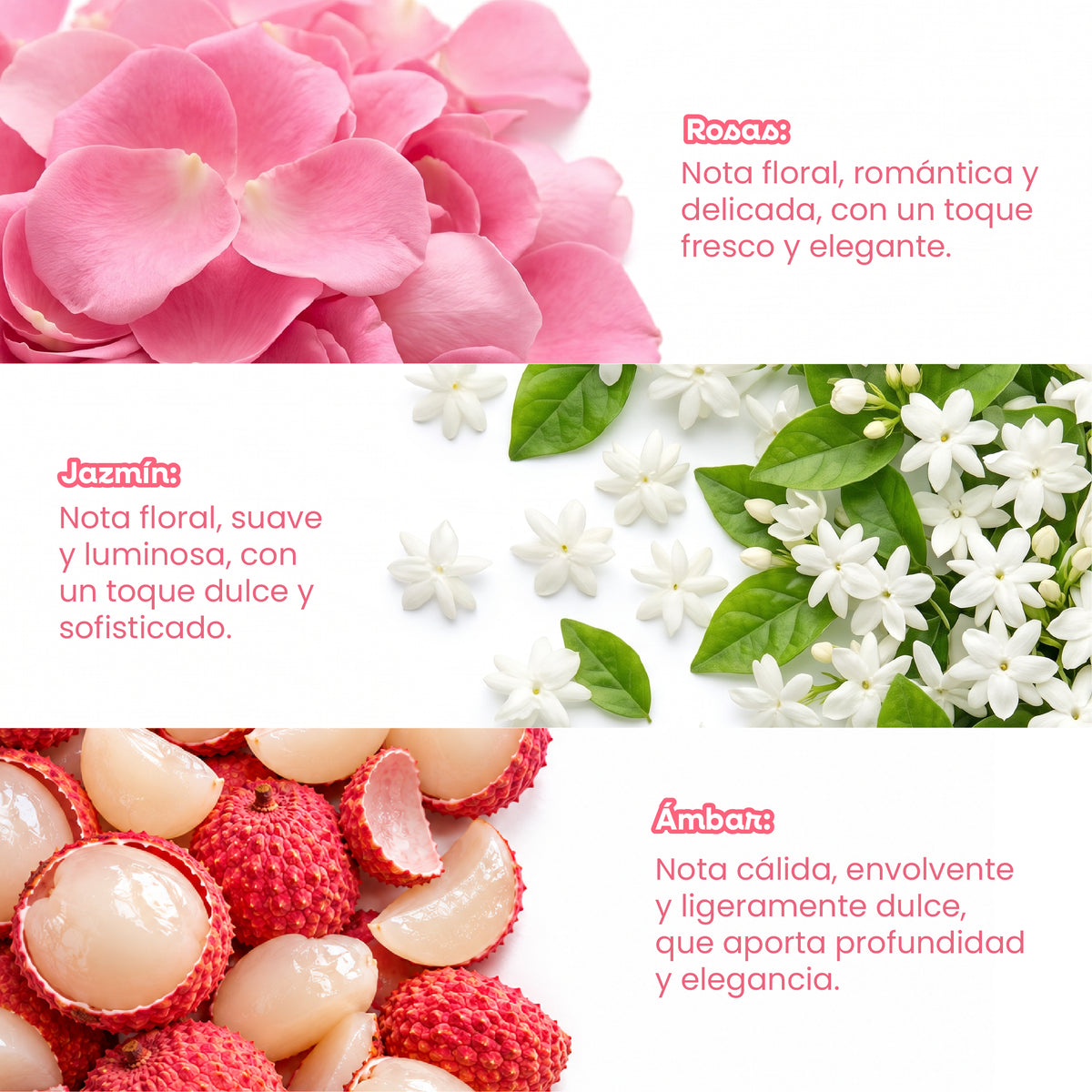 Perfume capilar Paradise con notas de rosa, jazmín y ámbar, de perfil floral, dulce y elegante