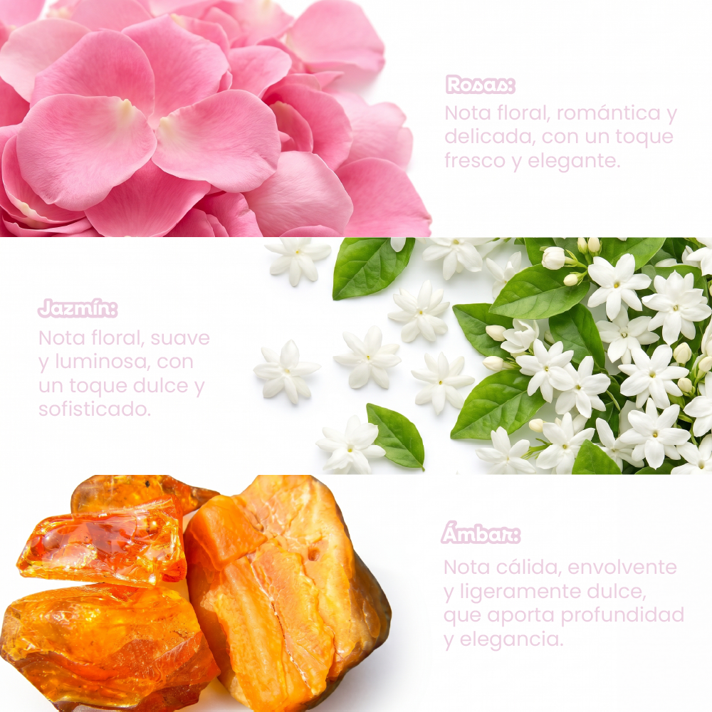 Fragancia floral con notas de rosa, jazmín y ámbar para un aroma dulce y elegante